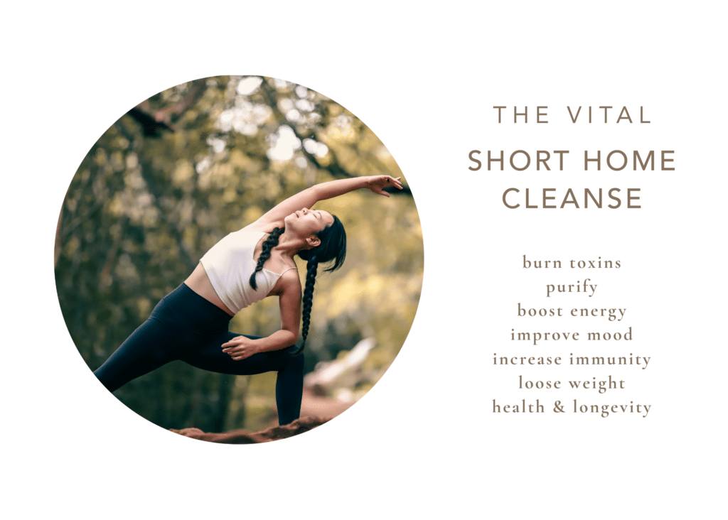 Vital Short Home Cleanse by Vital Veda