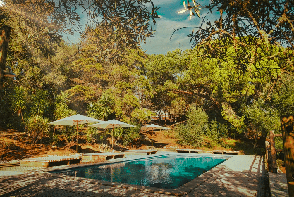 Abhyanga: Ayurvedic Massage Training Retreat (Sesimbra, Portugal) 2027 - Image 3